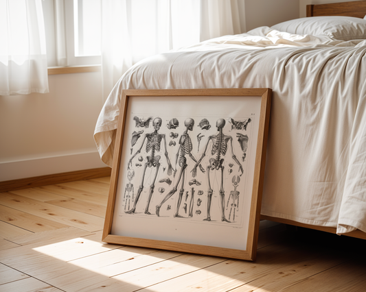 Anthropology Anatomy Of The Bones Antique - Unknown artist - 1851