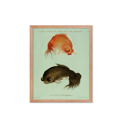 Le Créole, Le Frangimine - François-Nicolas Martinet - ca. 1780